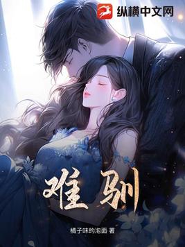 难忘的泼水节课文