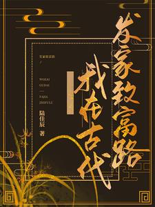 穿越到古代发家致富路