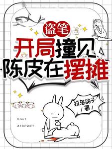 盗墓从老九门开始选择隐藏身份