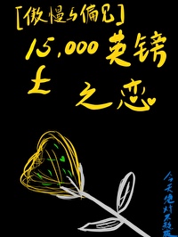 傲慢与偏见15000英镑之恋格格党