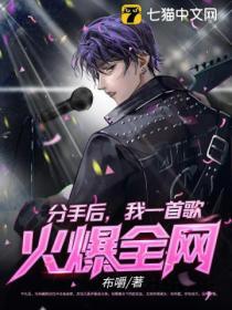 分手后我一首歌火爆全网TXT