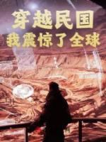 张学鸣于凤至最新章节更新内容