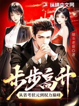 步步高升从省考状元到权力巅峰TXT