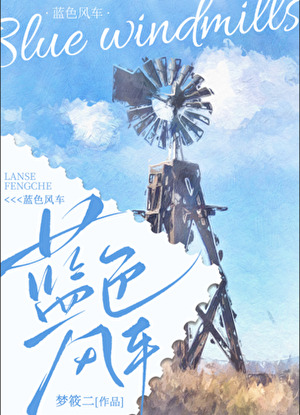 蓝色风车遗失物