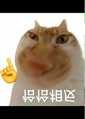 长生种开启了猎人朋友圈笔趣阁