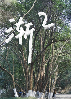 渐渐地的拼音