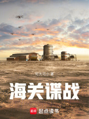 海关谍战