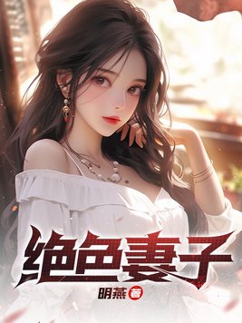 极品老婆简介