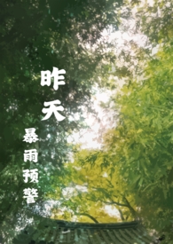 昨天暴雨情况