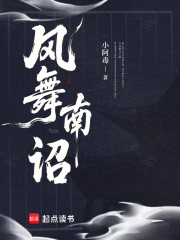 风起南诏攻略全集