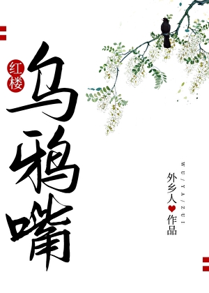 红楼之乌鸦嘴文