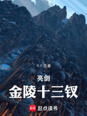 亮剑金陵十三钗笔趣阁