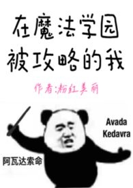 在魔法学院任教的日子