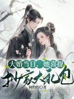 沈婉谢慕白大结局