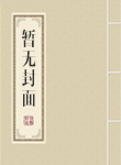 女神的贴身侍卫4000章
