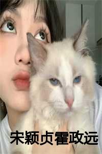 宋清盈霍致峥特助