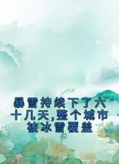 今天暴雪的城市