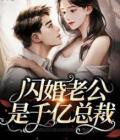 宠妻入骨我闪婚了个财阀大佬txt