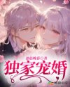 独家宠婚腹黑老公宠妻成瘾顾明珠
