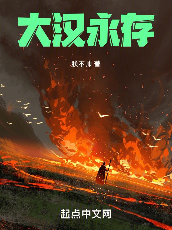 大汉永存 朕不帅