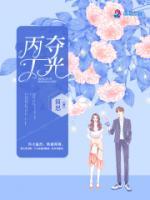 丙夺丁光最正确的解释