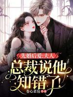 总裁说他知错了