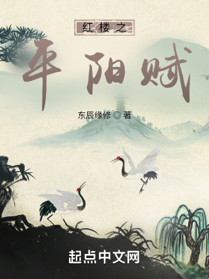 红楼之平阳赋简介