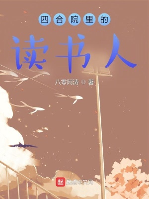 四合院里的读书人简介