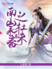 洛枫宁如冰免费阅读