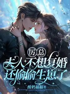 夫人不想复婚还偷偷生崽了 目录共1344章