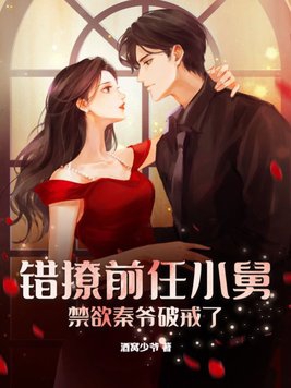 错撩前任小舅