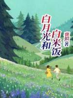 白月光和大米饭