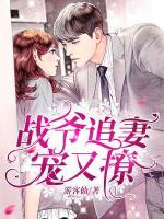 战爷追妻宠又撩短剧最新更新内容