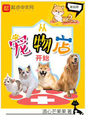 从宠物店开始百度