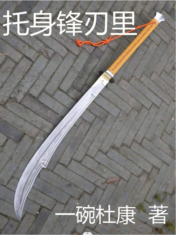 托身白刃里读一读