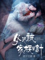 女儿接班家族企业