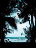 菏泽林国强调离原因分析