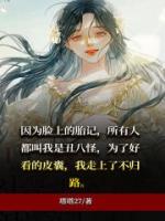 皮囊的作者