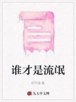 谁才是流氓原版