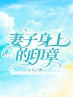 妻子身上的印章苏辰