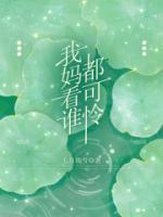 七七妈妈粉丝暴涨原因