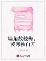 墙角数枝梅凌寒独自开遥知不是雪为有暗香
