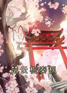 楚枫楚云川
