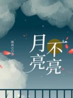 月亮不亮下一句