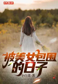 被美女包围的日子结局
