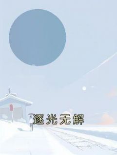逐光打击