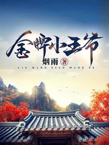 金牌小王爷视频