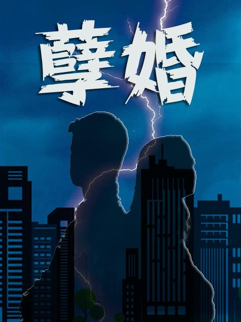 孽婚市场的宠妻一梵初云