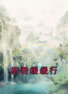 主角叫裴君临的