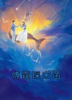 傅琰霆宋晚晴